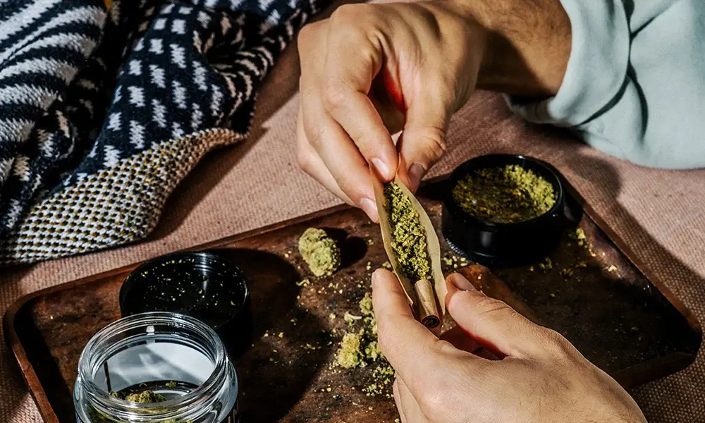 special 3231264 photo