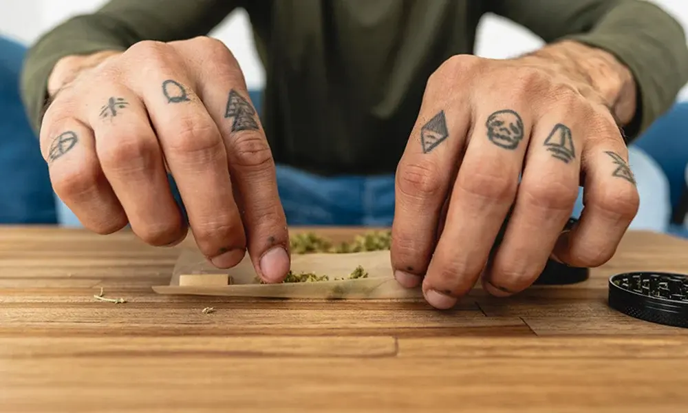 special 3412709 photo