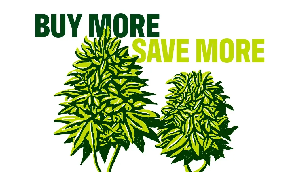 special 3112904 photo