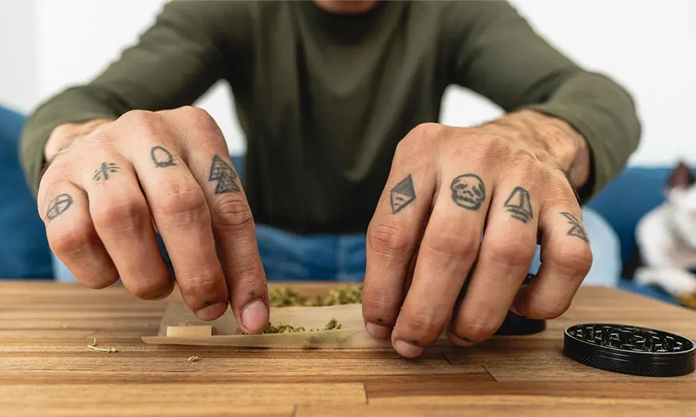 special 3263224 photo