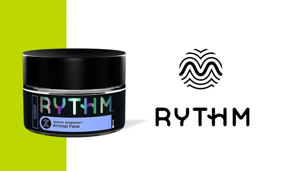 special 3291138 photo