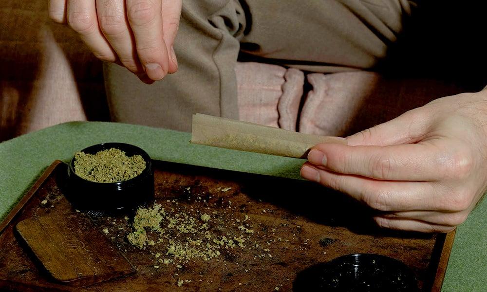 special 3341347 photo