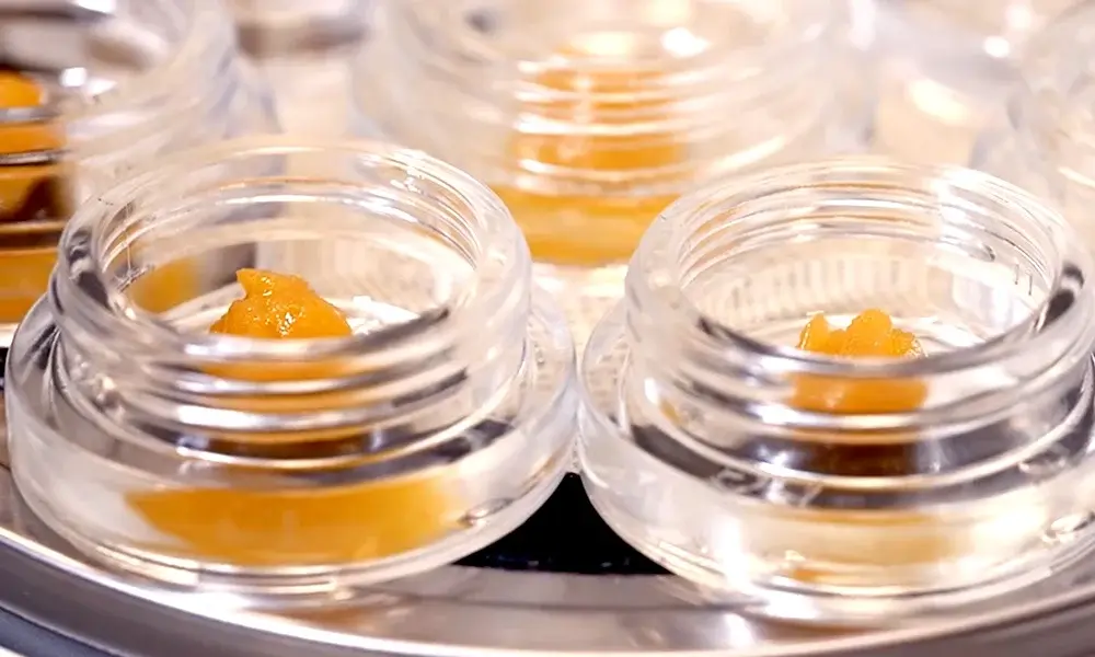 special 3341131 photo