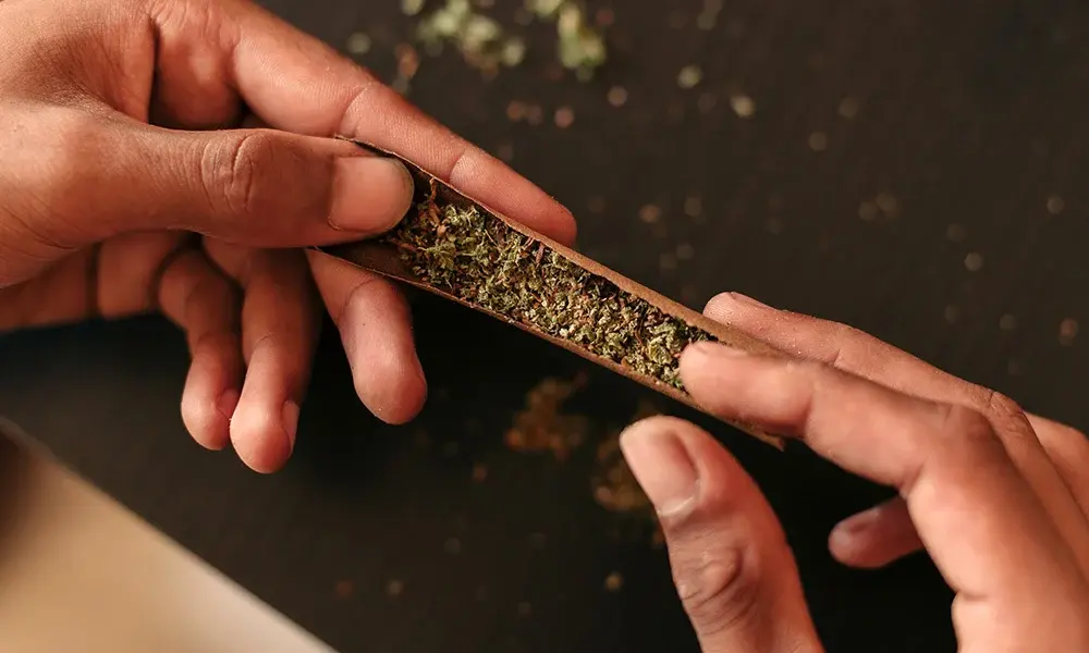 special 3294058 photo