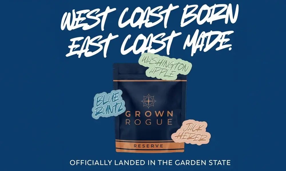 special 3407364 photo