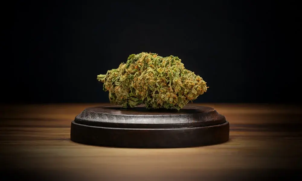 special 3257235 photo