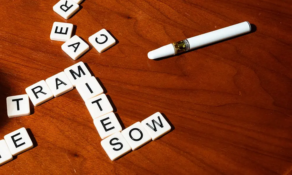 special 3405717 photo