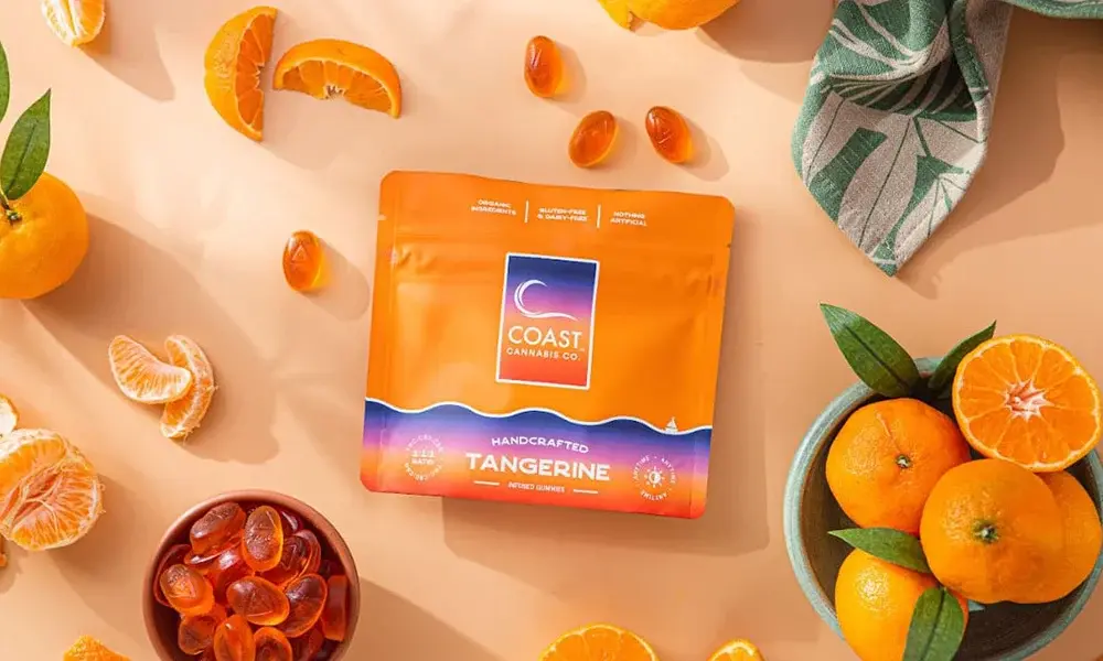 special 3405019 photo