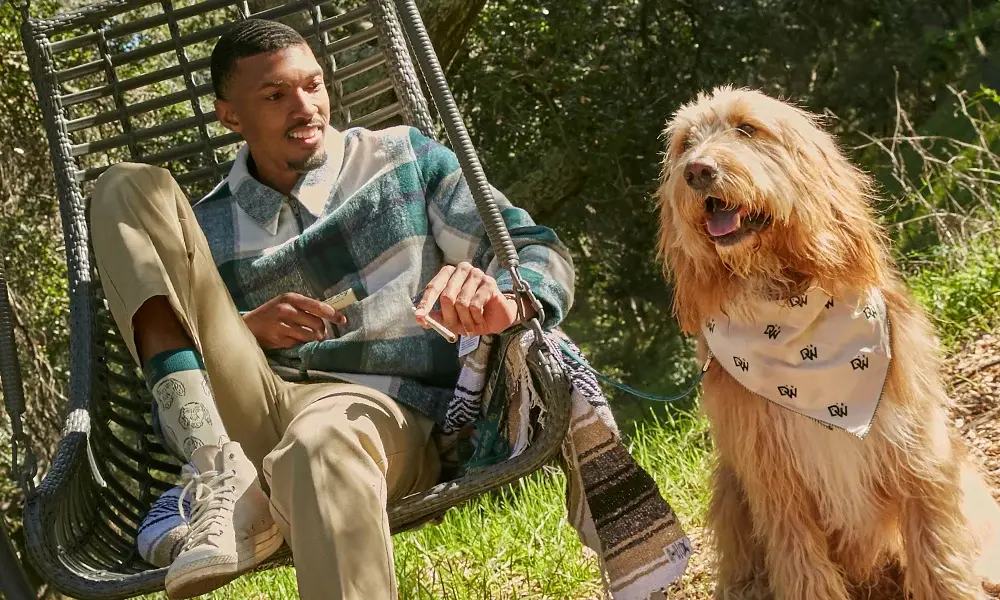 special 3385195 photo