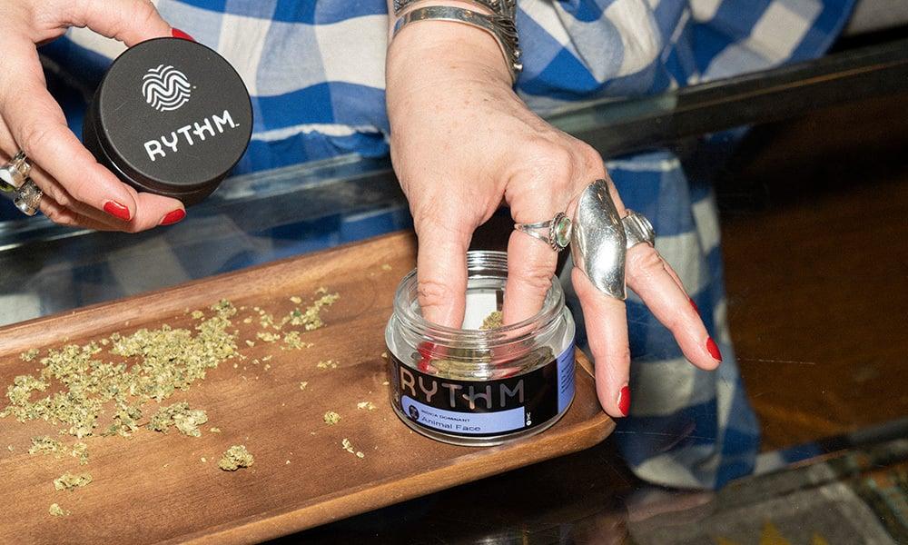 special 3329772 photo